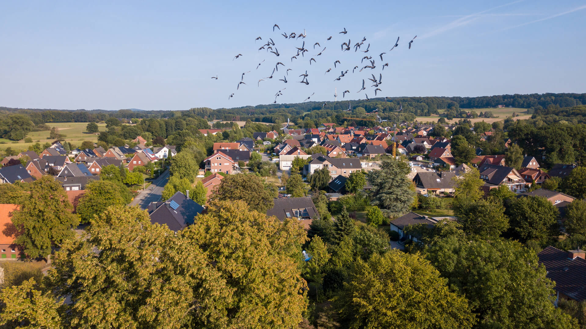 20190822-DJI_0120.jpg